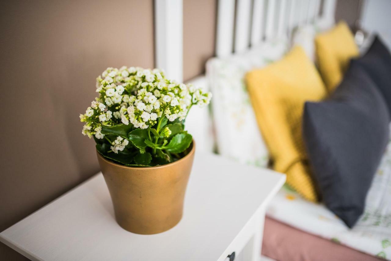 Sunshine Apartment Лиепая Экстерьер фото